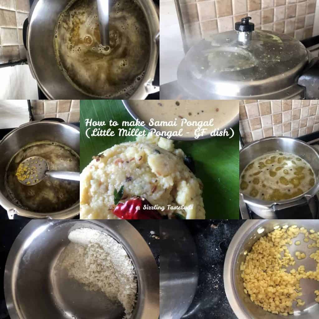 Samai or Little Millet Pongal is a quick, nutritious and filling Gluten Free breakfast or dinner made with Little Millet and Moong dal. Served hot with Chutney and / or sambhar .